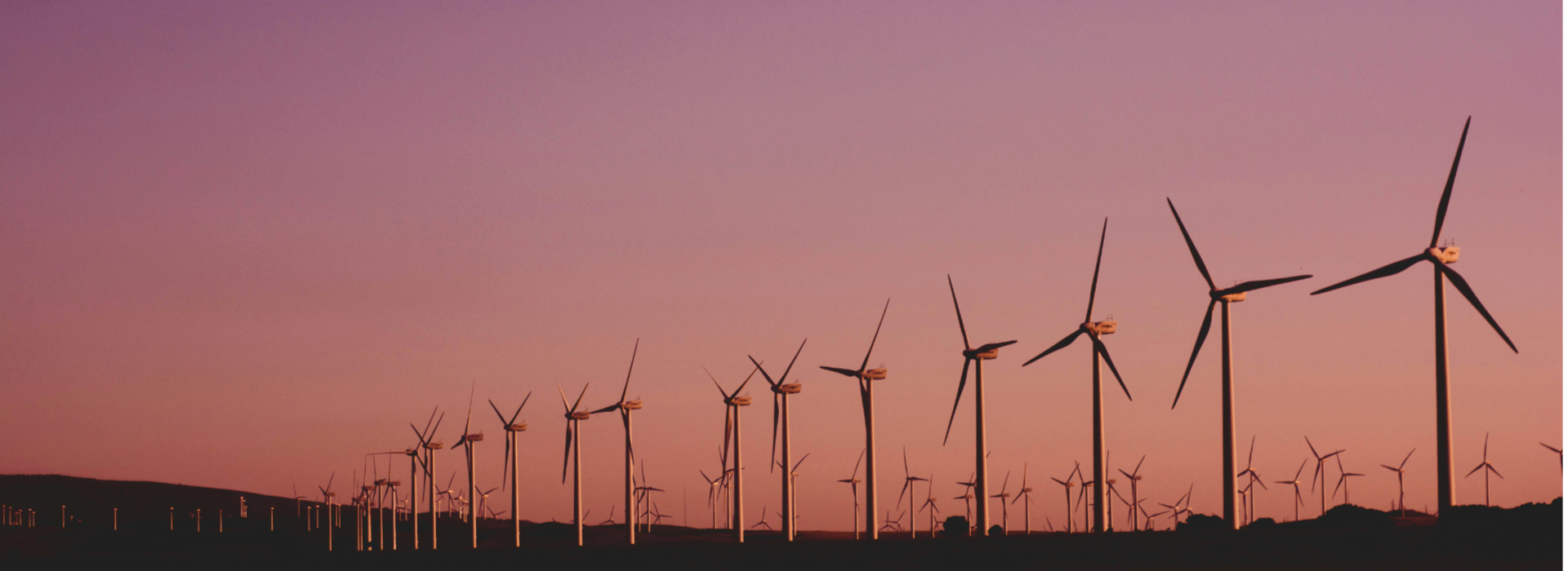 A wind turbine O&M service owner